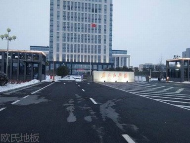 安徽滁州來安縣公安局運動木地板案列