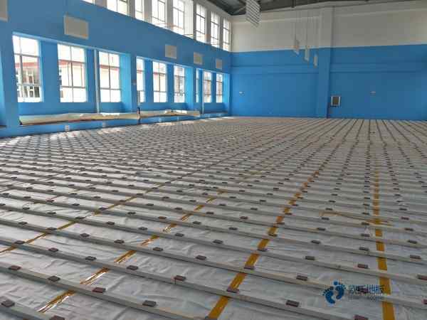 尋求體育場館地板牌子