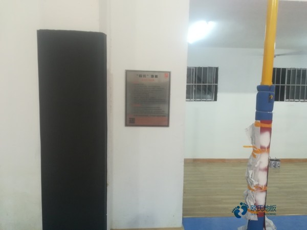 尋求體育場館木地板哪個牌子環保