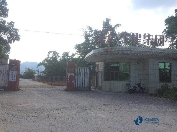 高品質體育館木地板安裝公司