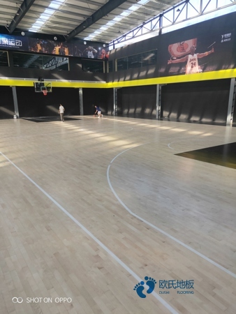 楓木籃球體育木地板怎么保養