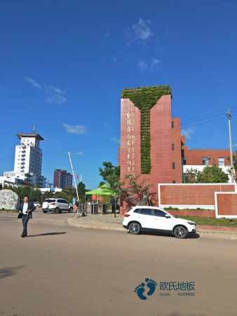 尋求體育場館木地板廠家報價