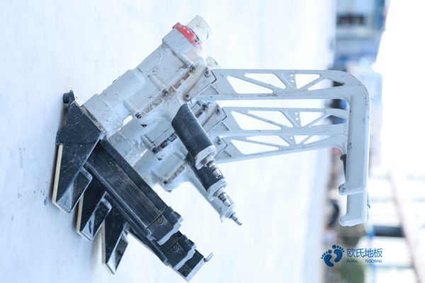 雙龍骨籃球場地板保養