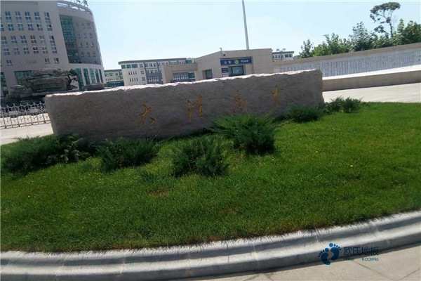 運動籃球地板報價