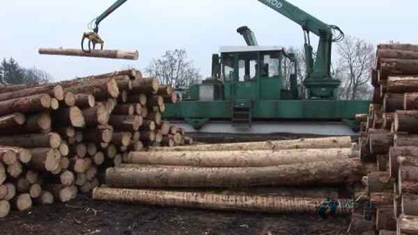 質量好運動場館木地板施工