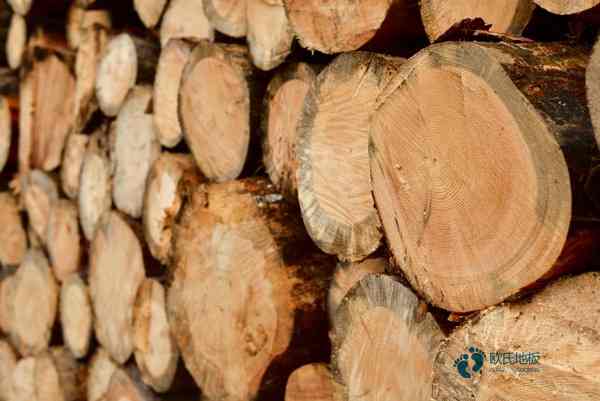 體育地板價(jià)格是多少