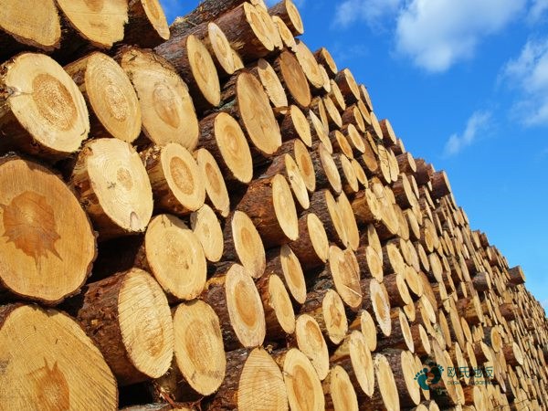 學?；@球體育木地板施工