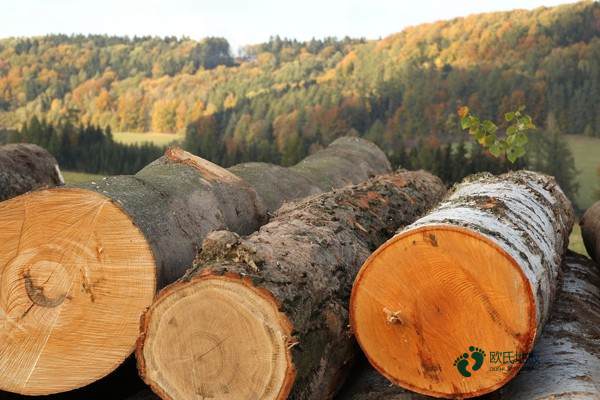 體育運動地板價格行情