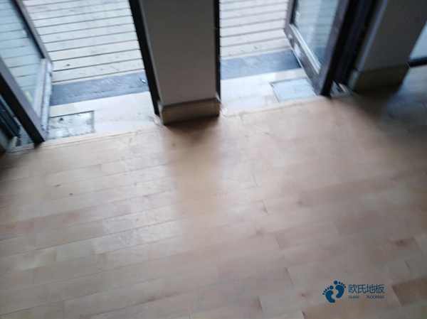 學校籃球場館地板特性