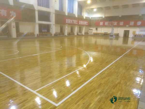 哪里有籃球木地板報價單