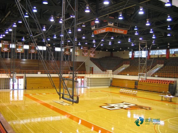 好用的籃球木地板多少錢能下來(lái)