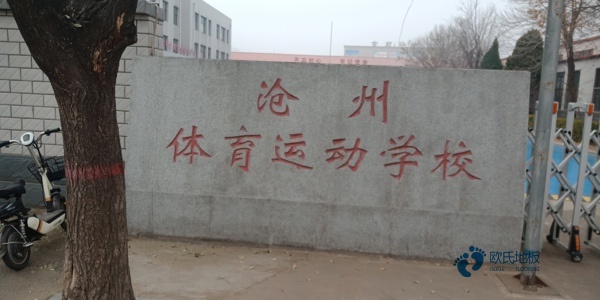 哪里有籃球木地板價格多少