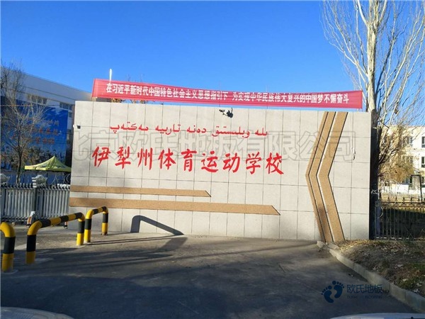 行業體育籃球木地板哪個牌子性價比高