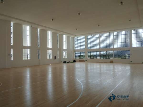 哪里有籃球木地板價目表