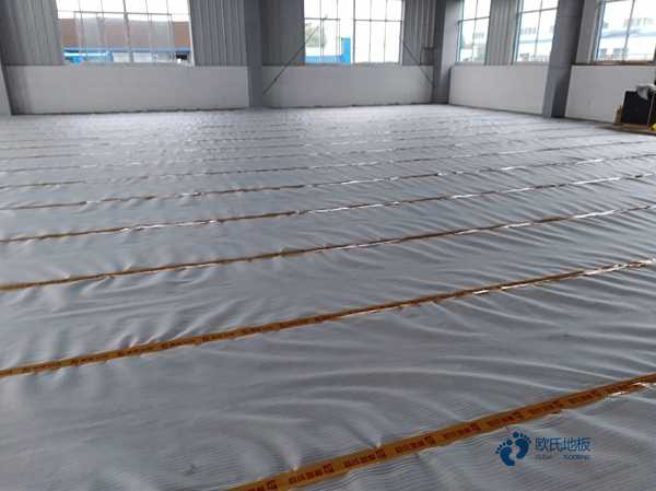 體育場地木地板畫線1