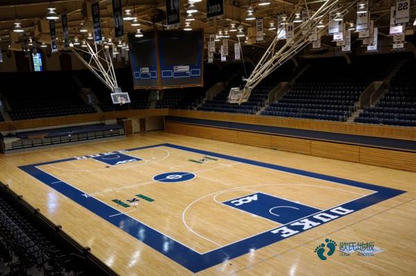 小學籃球運動木地板1