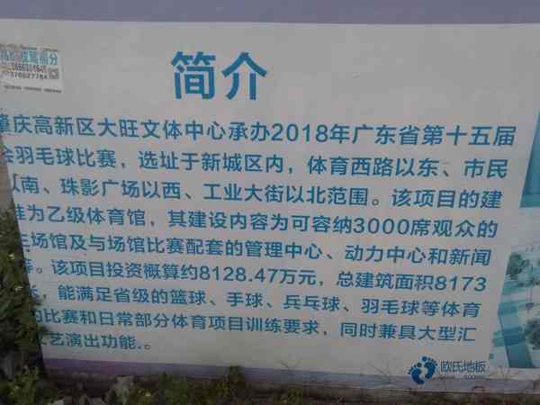 主輔龍骨籃球體育木地板2