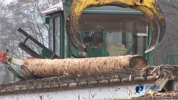 體育場館木地板哪有3