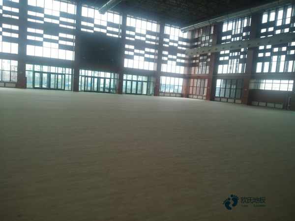 用哪種籃球體育地板報價單