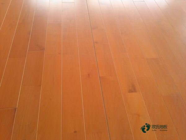 楓樺木體育地板安裝費