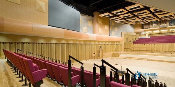 雙龍骨體育木地板清潔保養3