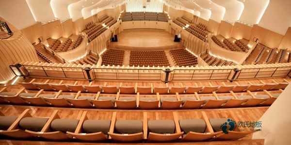 雙龍骨籃球場地板清潔保養1