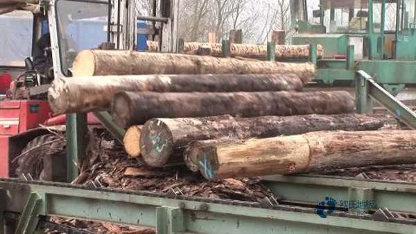 實木籃球場地板價格是多少2